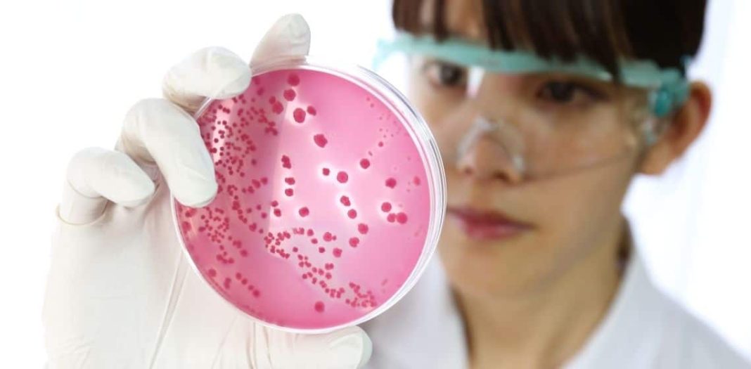 Urispas Nedir, Ne İçin Kullanılır?