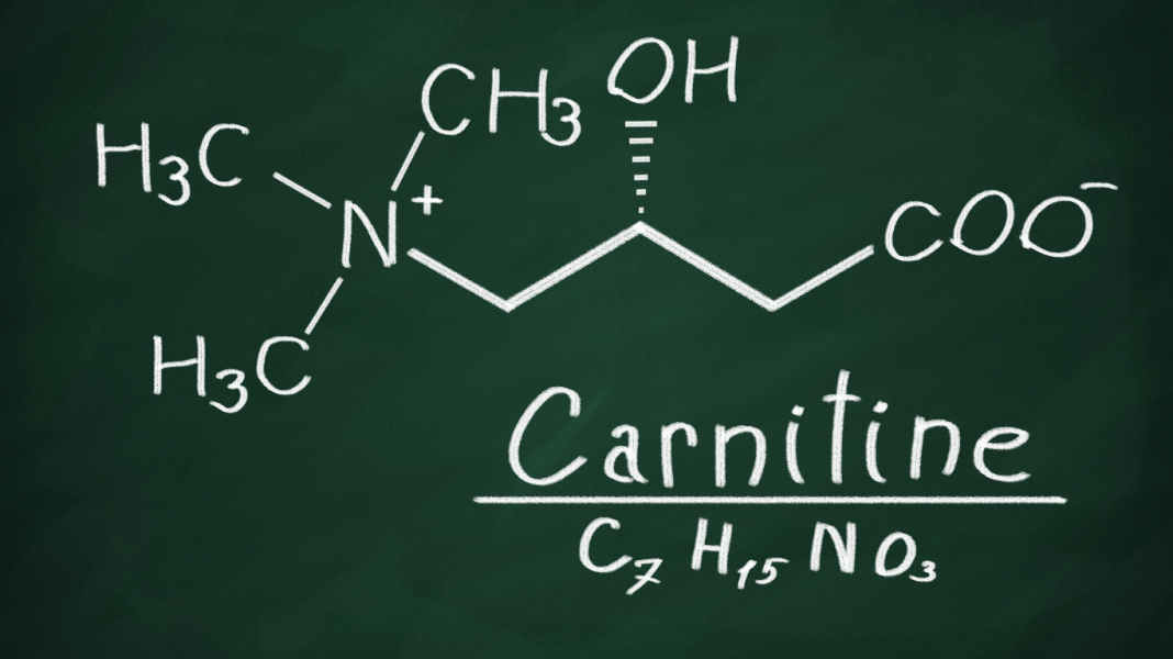 Carnitene Nedir?