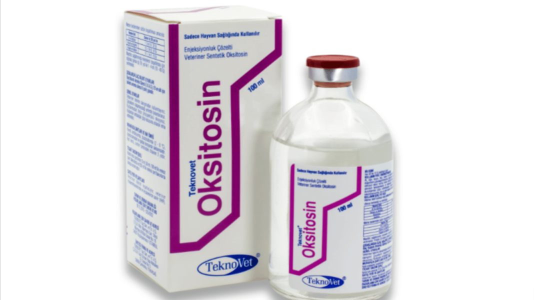 Oksitosin Nedir?